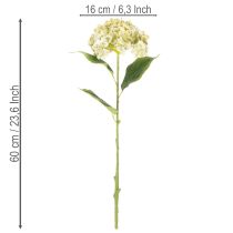 Artikel Künstliche Hortensie 60cm Creme-Grün mit Drahtkern