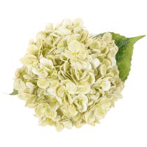 Artikel Künstliche Hortensie 60cm Creme-Grün mit Drahtkern