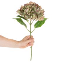 Artikel Künstliche Hortensie mit Stiel 46cm hellgrün-rosa