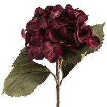 Artikel Hortensie künstlich Hydrangea Kunstblumen Bordeaux 52cm für anspruchsvolle Dekoration