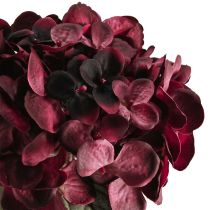 Artikel Hortensie künstlich Hydrangea Kunstblumen Bordeaux 52cm für anspruchsvolle Dekoration