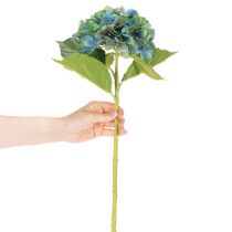 Artikel Kunstblume Hortensie Blau-Grün Einzelstiel 53 cm Polyester Kunststoff