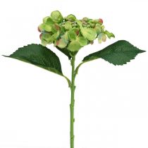 Künstliche Hortensie, Blumendeko, Seidenblume Grün L44cm