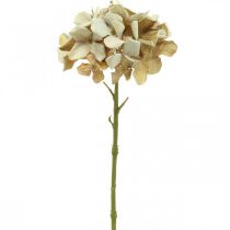 Hortensie Kunstblume Braun, Weiß Herbstdeko Seidenblume H32cm