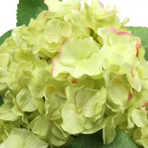 Hortensie künstlich Grün Kunstblume Strauß 5 Blüten 42cm