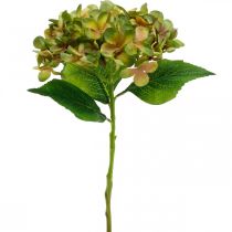Hortensie künstlich Grün 33cm 1St