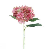 Hortensie künstlich Rosa und Grün Gartenblume mit Knospen 52cm