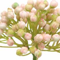 Artikel Hortensienknospenpick 21cm Rosa 12 St