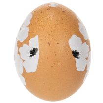 Artikel Hängende Ostereier Dekoration aus Echten Hühnereiern 6 cm – Natürlicher Osterzauber