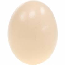 Artikel Hühnereier Creme Osterdeko Ausgeblasene Eier 10St