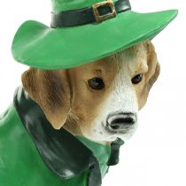 Beagle mit Hut, St. Patrick's Day, Hund mit Anzug, Gartendeko, Jagdhund H24,5cm