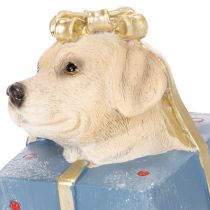 Artikel Dekofigur sitzender Hund Welpe im Geschenkpaket 20cm Kunstharz