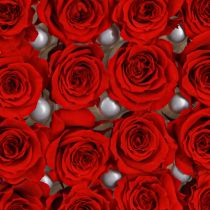 Artikel Infinity Rosen Mini Rosenköpfe Rot Ø3cm Dekoration 16 Stk kaufen