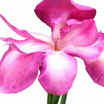 Artikel Schwertlilie künstlich Pink 78cm