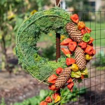 Islandmoos Kranz Wanddeko Naturkranz Grün Konserviert Ø34cm