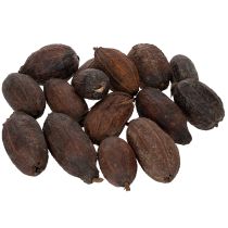Artikel Kakaofrucht Natur 10-18cm 15St