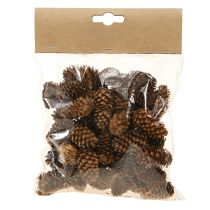 Artikel Kleine natürliche Hemlockzapfen 3-4 cm – 100 g dekorative Zapfen für Advent & DIY
