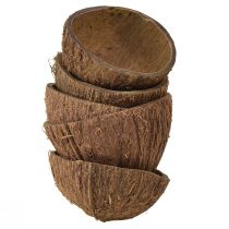 Artikel Kokosnuss Schale Deko Natur Halbe Kokosnüsse Ø7-9cm 5St