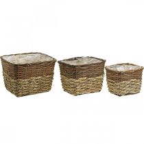 Artikel Pflanzkorb, Naturgefäß zum Bepflanzen, Blumenschale eckig Natur L29,5/26/23cm H21/19/16cm 3er-Set