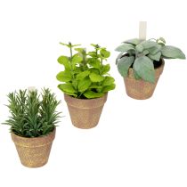 Artikel Kunststoff Kräutertopf mit künstlichen Kräutern Ø 14 cm x H 15 cm für Innenbereich und geschützten Außenbereich, 3er Set
