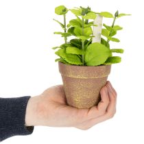 Artikel Kunststoff Kräutertopf mit künstlichen Kräutern Ø 14 cm x H 15 cm für Innenbereich und geschützten Außenbereich, 3er Set