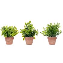 Artikel Kunststoff Kunstpflanze im Blumentopf 18cm für Innenräume 3-teilig