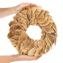 Artikel Baumschwamm-Kranz naturfarben Ø 37cm für Tür- und Wanddekoration