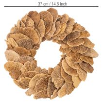 Artikel Baumschwamm-Kranz naturfarben Ø 37cm für Tür- und Wanddekoration