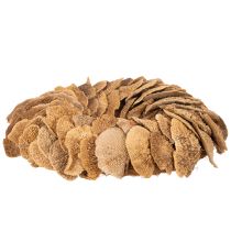 Artikel Baumschwamm-Kranz naturfarben Ø 37cm für Tür- und Wanddekoration