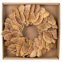 Artikel Baumschwamm-Kranz naturfarben Ø 37cm für Tür- und Wanddekoration