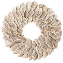 Artikel Kranz Baumschwamm Naturfaser Weiß 37 cm Innenbereich