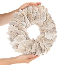 Artikel Kranz Baumschwamm Naturfaser Weiß 37 cm Innenbereich