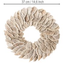 Artikel Kranz Baumschwamm Naturfaser Weiß 37 cm Innenbereich