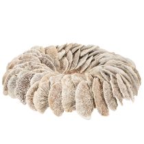 Artikel Kranz Baumschwamm Naturfaser Weiß 37 cm Innenbereich