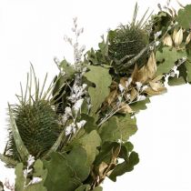 Weihnachtskranz Trockenkranz Eiche Kardendistel Ø45cm