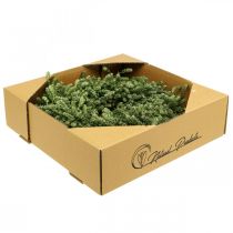 Artikel Weihnachtskranz Deko Grün Trockenblumenkranz Türkranz Leinenkraut Festlich Ø34cm