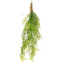 Artikel Künstliche Erbsenpflanze Hängedeko Grün Jute 80cm