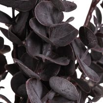 Artikel Künstliche Eukalyptus Zweige Eucalyptus Violett 38cm Deko 3St