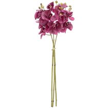 Artikel Künstliche Orchideen Lila 56cm 3St – Realistische Kunstblumen für Floristen