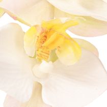 Artikel Künstliche Orchideen im Topf Weiß Ø7cm H22cm für stilvolle Dekoration