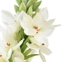 Artikel Künstliche Blume Garten Milchstern Kunstblume Weiß 50cm