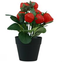 Artikel Künstliche Erdbeer Pflanze im Topf Kunstpflanze 19cm