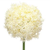 Artikel Künstlicher Allium Creme Weiß Zierlauch Ø18cm L90cm Dekoblume