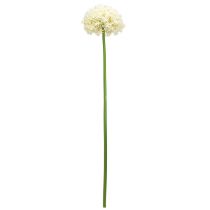 Artikel Künstlicher Allium Creme Weiß Zierlauch Ø18cm L90cm Dekoblume
