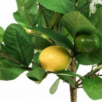 Artikel Künstlicher Zitronenbaum im Topf Zitronenbäumchen H57cm