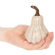 Artikel Deko Kürbis Keramik Creme Beige 12cm Innenbereich