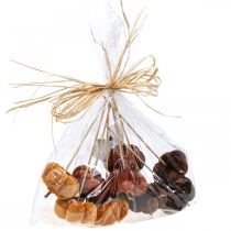 Artikel Deko Kürbis Deko Stecker Orange, Braun Weich Ø6,5m 9 St