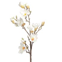 Artikel Kunstblume Magnolienzweig Dekoration Cremeweiß Ø2–10cm L105cm