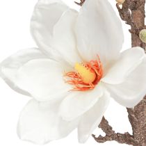 Artikel Kunstblume Magnolienzweig Dekoration Cremeweiß Ø2–10cm L105cm