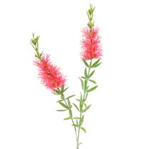 Artikel Künstliche Blumen Rot Karminrote Zylinderputzer 70cm 3St Deko-Blüten